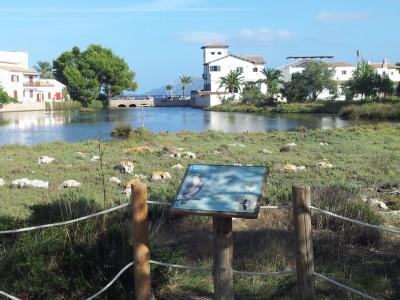 La Gola House Apartamento Port de Pollença Exterior foto